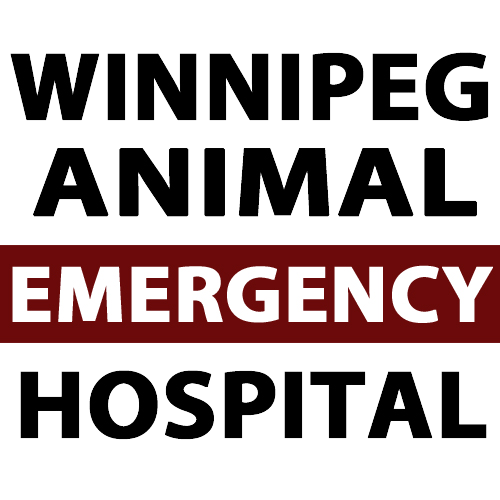Part-time Employment Opportunity - Winnipeg Animal Emergency Hospital,  Winnipeg MB - MVMA